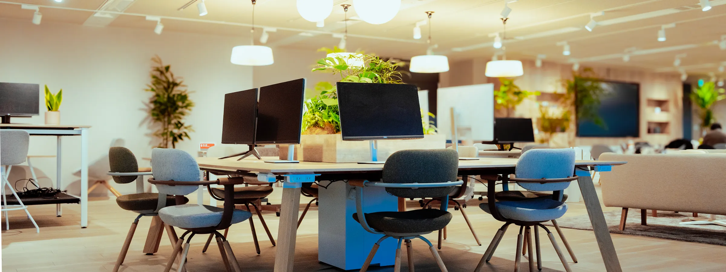 オフィスの写真