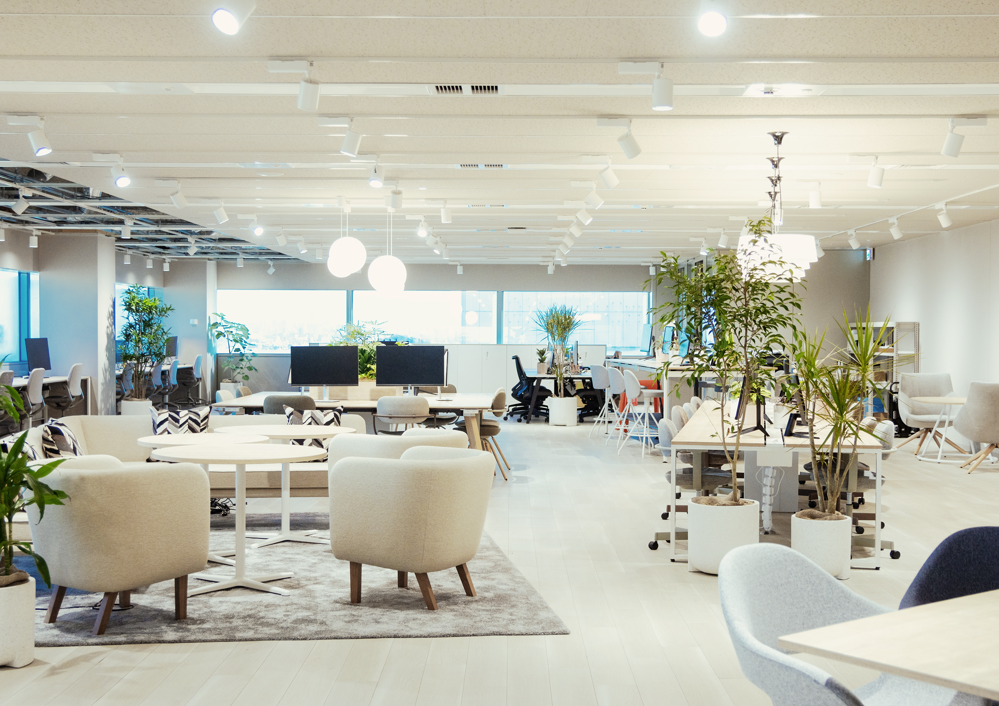 募集株式の払込金額及びブックビルディングの仮条件決定のお知らせ